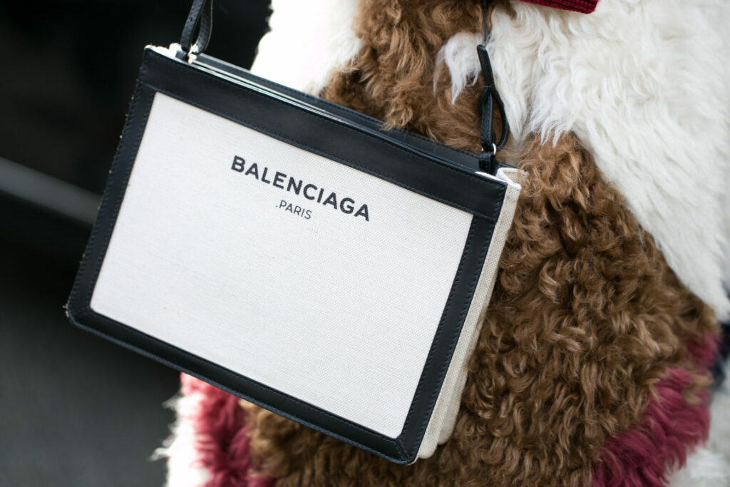 handbag on a fur background 