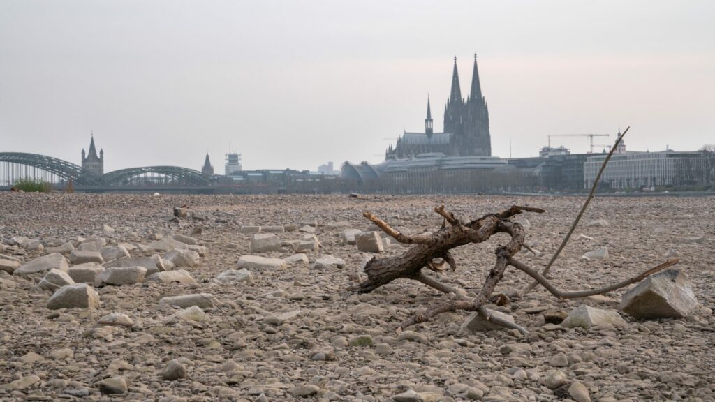 Low water of the Rhine river in Cologne, drought in Germany. El Niño will exacerbate these situations
