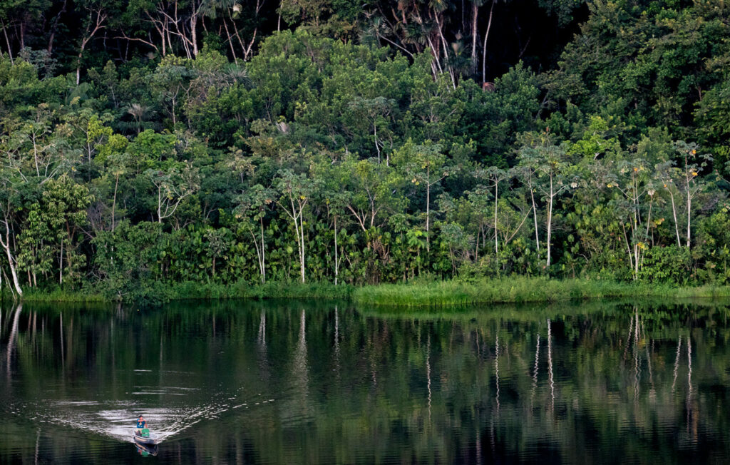 boat looking tiny on river in Ecuadorian amazon