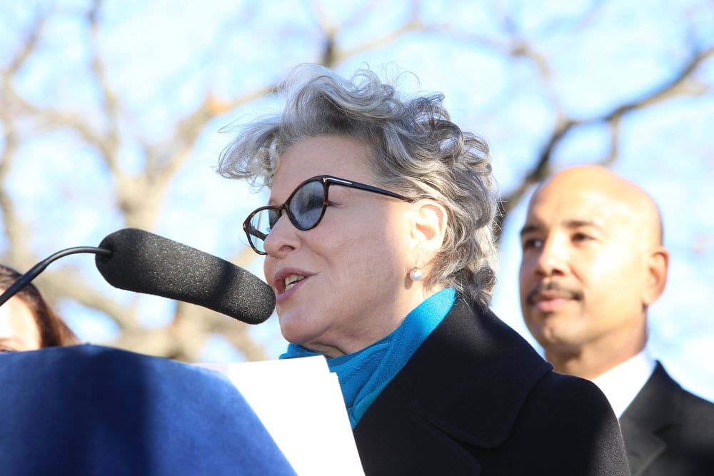 Bette Midler has campaigned and restored green spaces in New York 