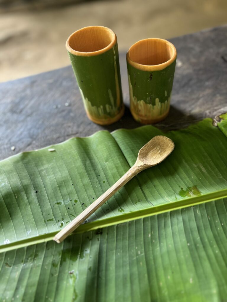 sugar cane cutlery