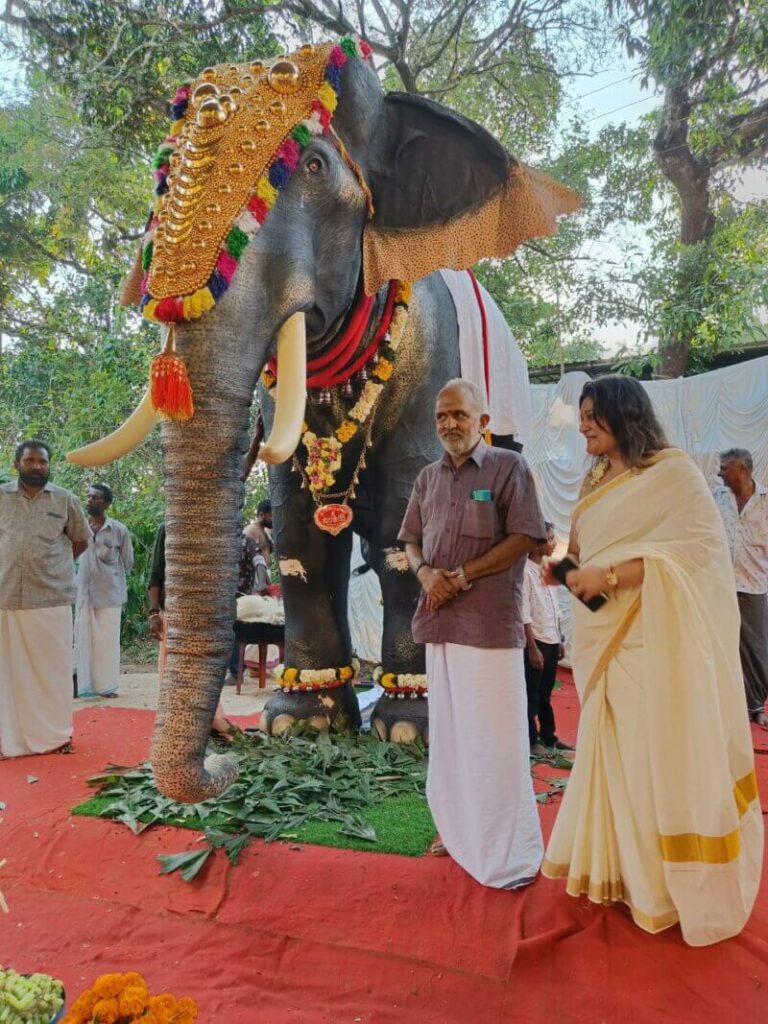 man stands next to robot elephant