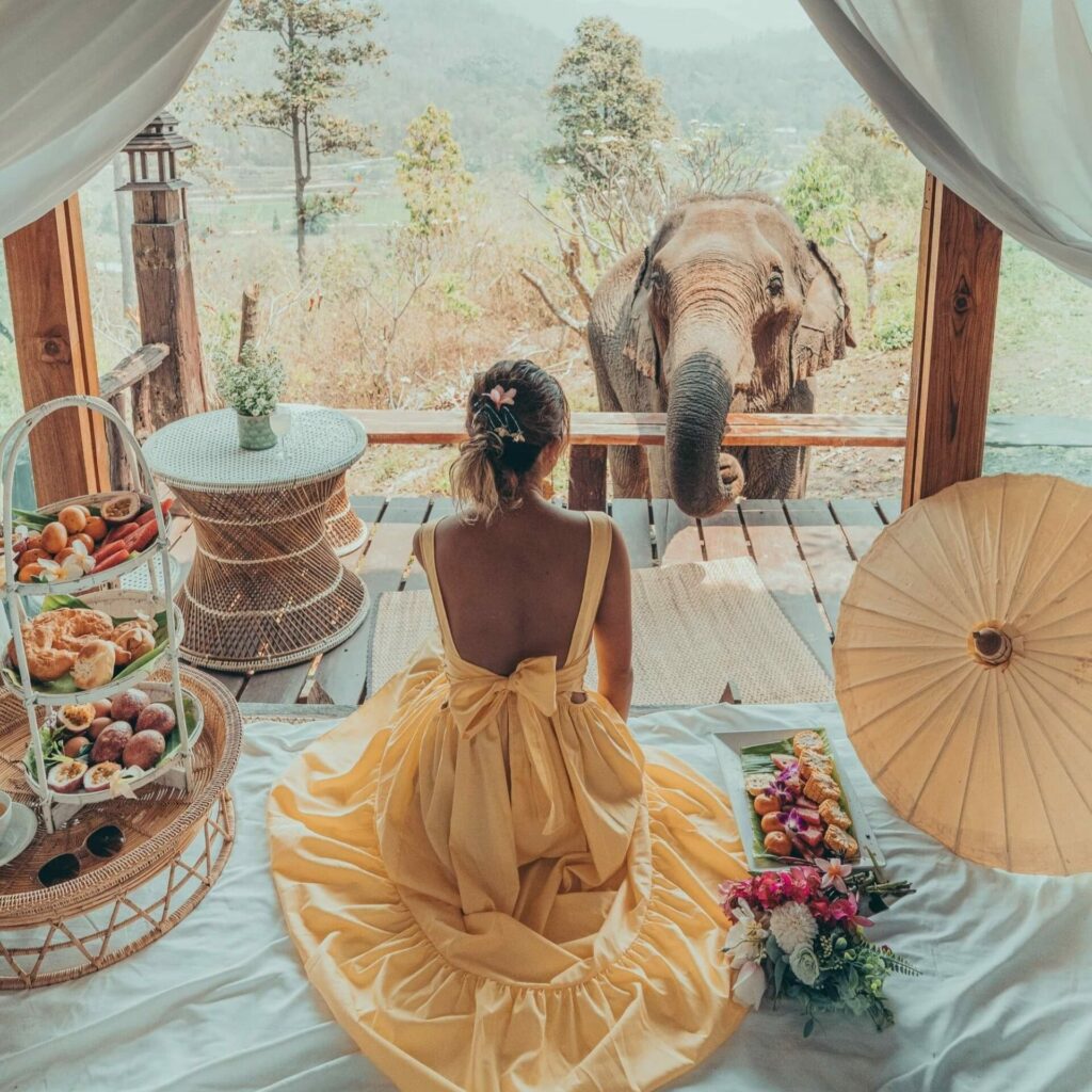 woman surrounded by fruits feeding elephants 