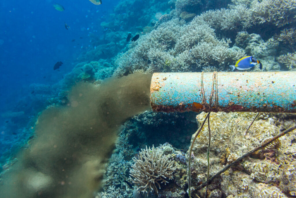 underwater sewer pipe in coral reef  