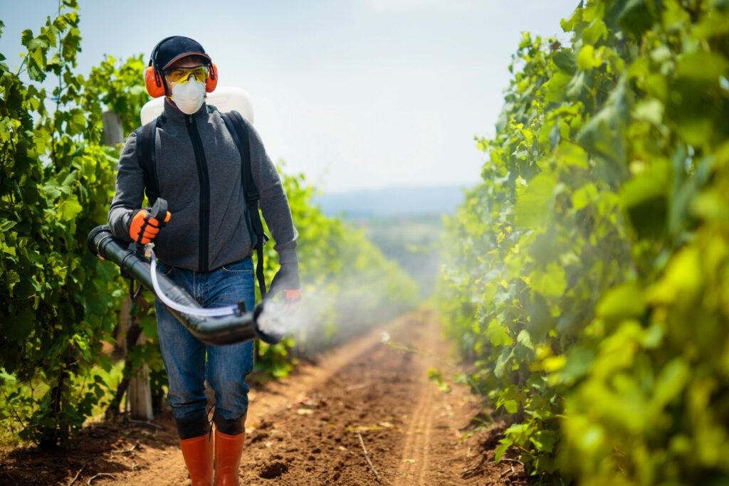 man spraying pesticides on grape vines