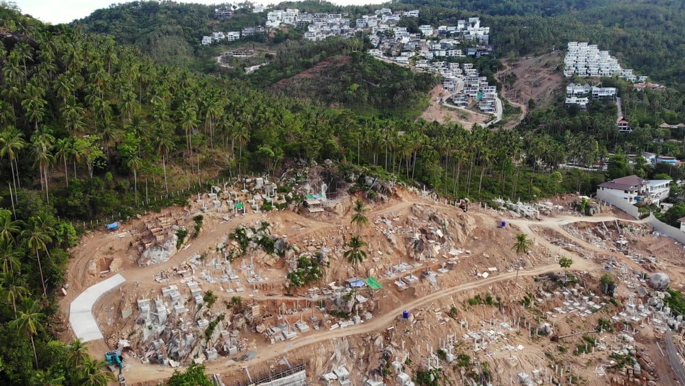 deforestation in Thailand 