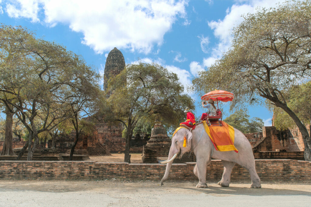 elephant giving tourists a ride 