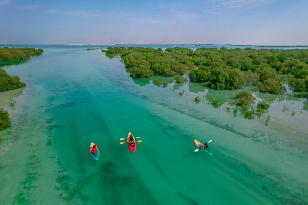 three people in canoes in UAE's mangrove forests which are focus of Earth Day 