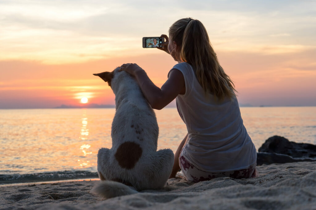 one girl and her dog sitting on beach on holiday staying at pet-friendly hotel 