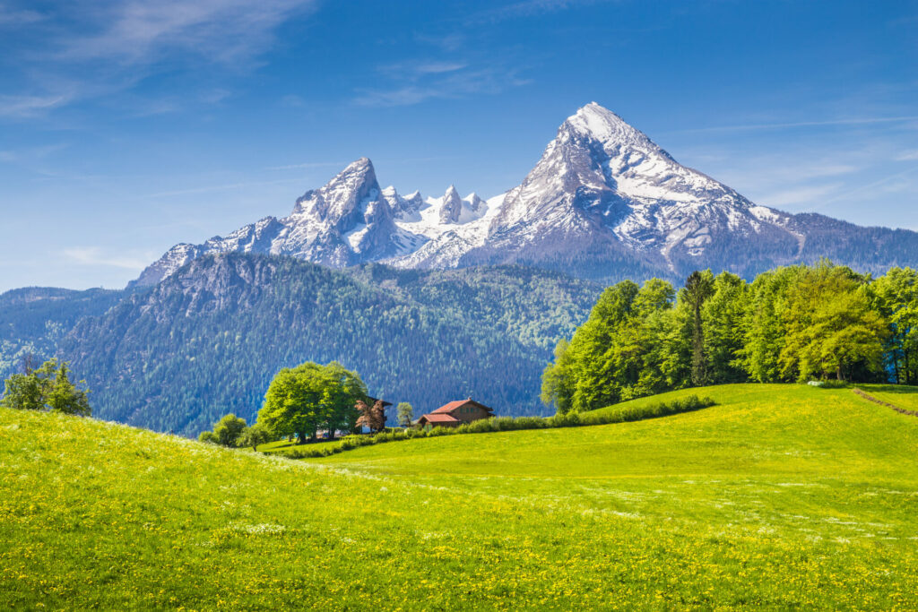 Idyllic landscape in the Alps with fresh green meadows and blooming flowers and snowcapped mountain tops