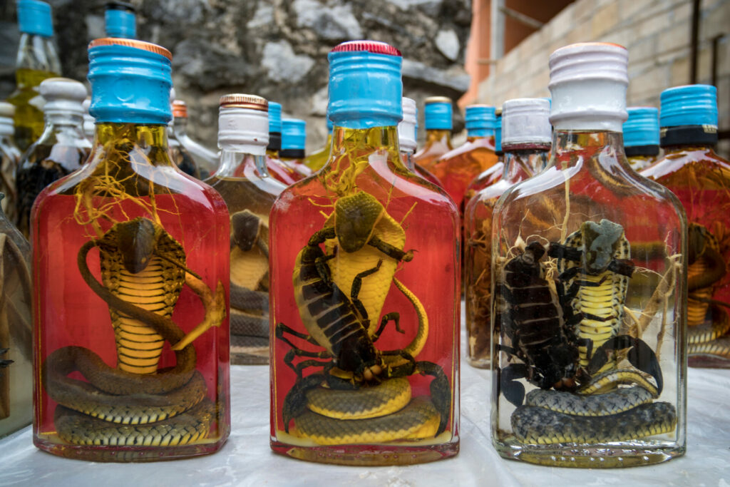 Snakes are bottled alive in alcohol to make wine or whisky in South East Asia 