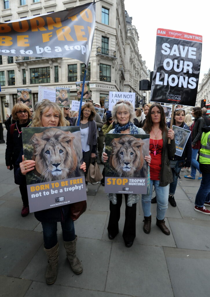 virginia McKenna on anti trophy hunting march supporting wild lions