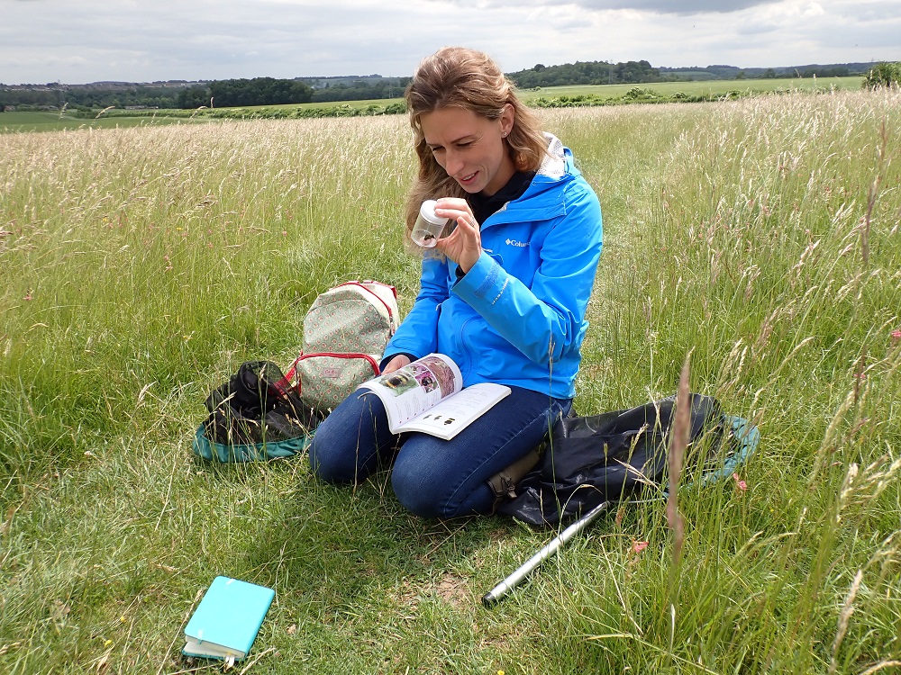 The Bumblebee Conservation Trust out in the field identifying bee species 