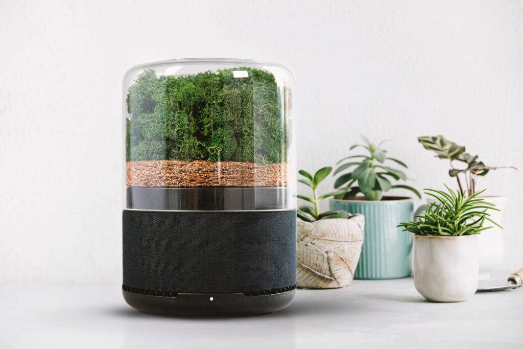 Plain Tiger will be showcasing Brriv a natural air purifier 