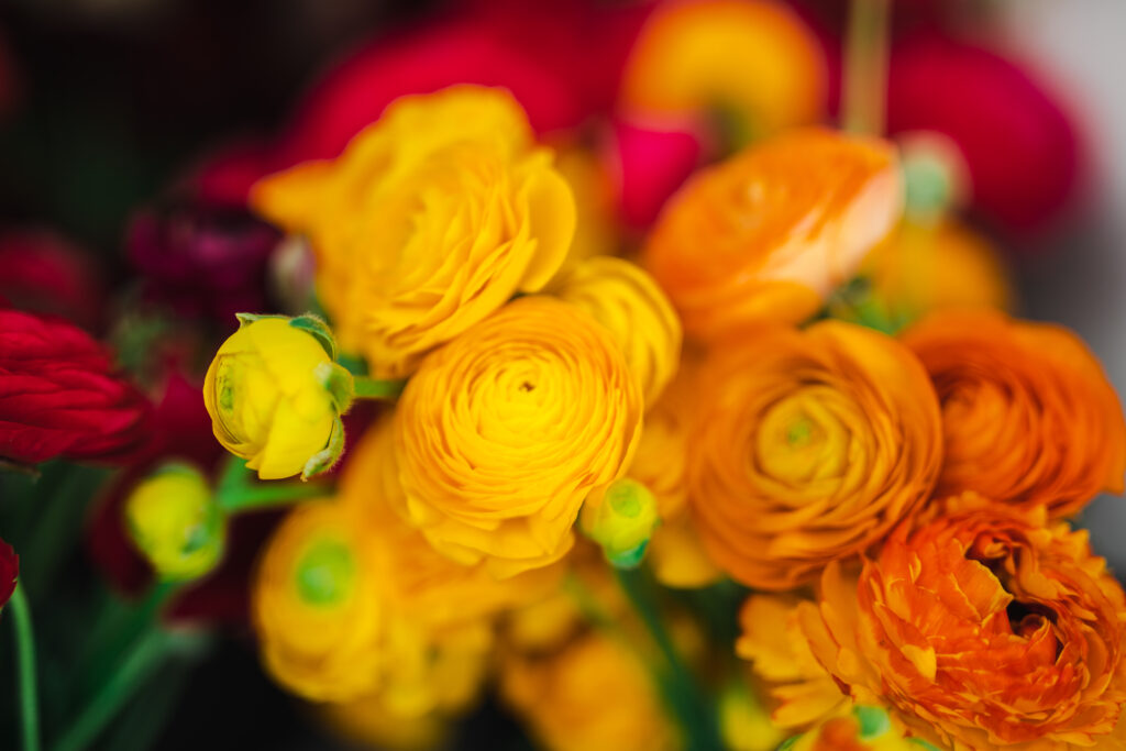 Seasonal flowers such as golden ranunculus