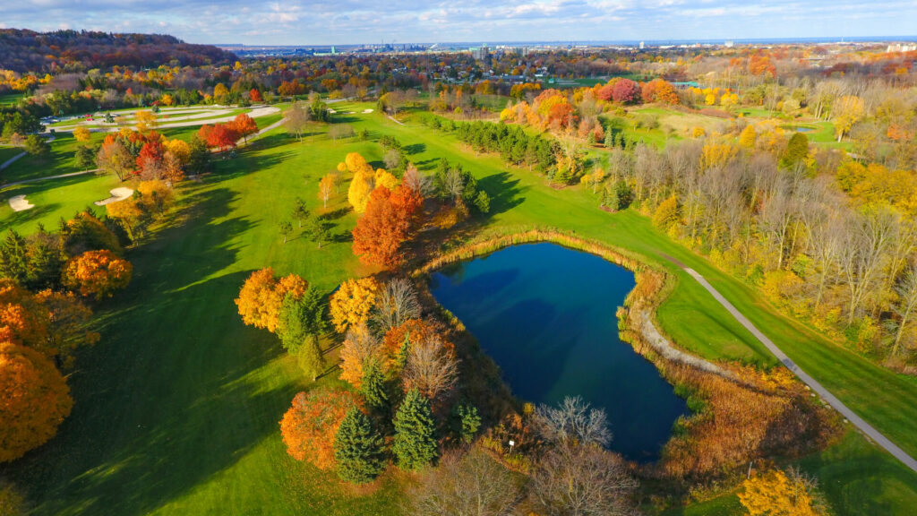 golf course with surrounding woodland 