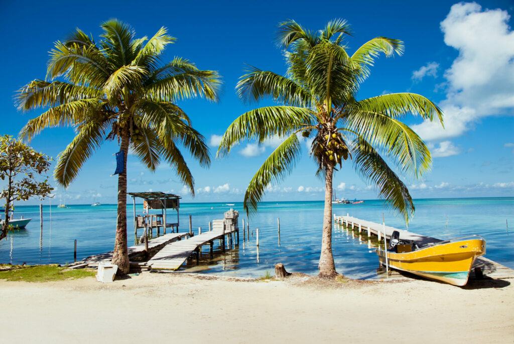 Belize Crystal clear water and palm tree 