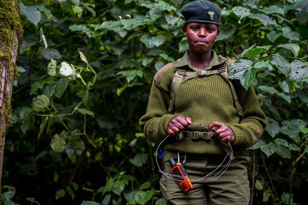 female ranger working on the Mara elephant project 