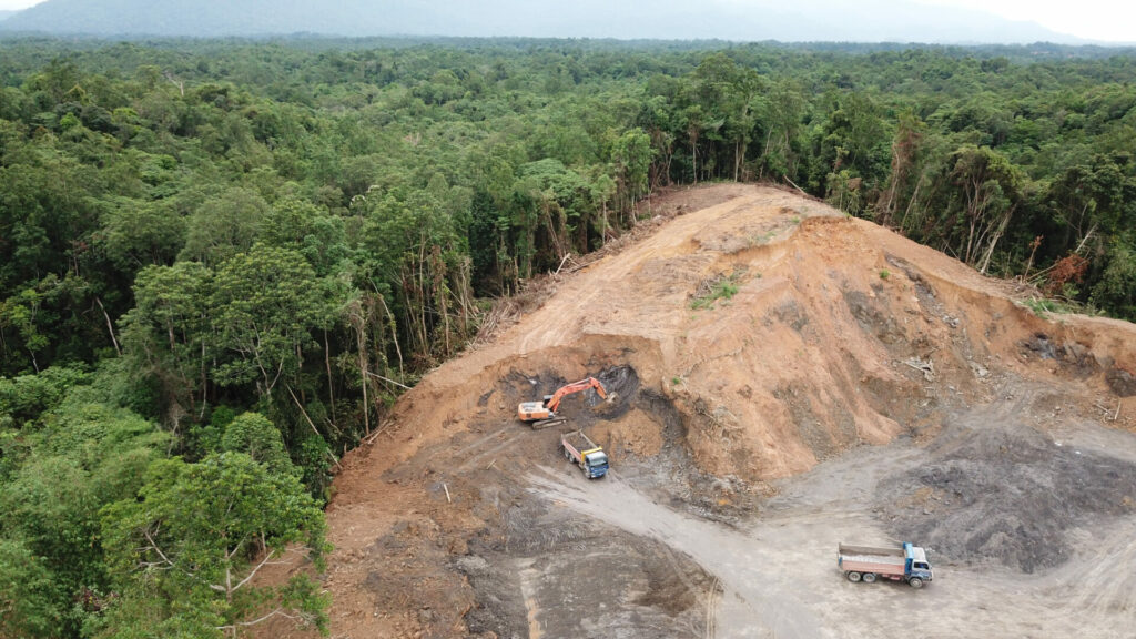 Green Guardians Of Galaxy: Uncertain Future Of Rainforests