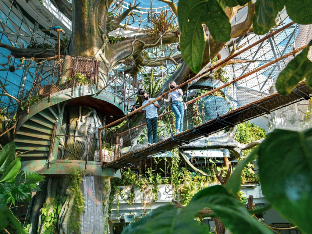 inside the green planet indoor rainforest 