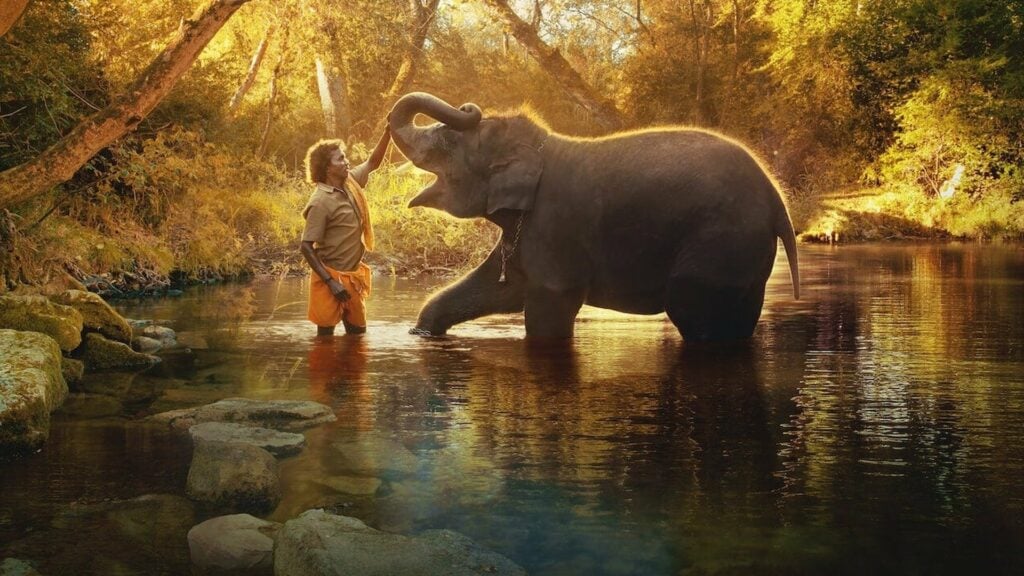 The Elephant Whisperers nature movie