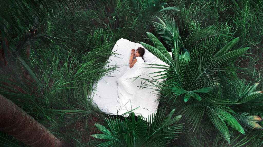 lady sleeping bed surrounded by forest 