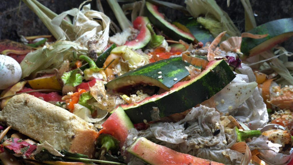 food scraps decaying