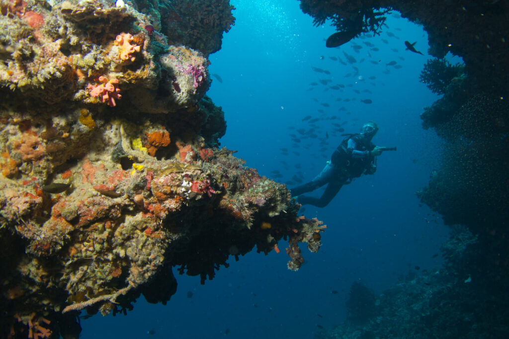 diving in baros maldives on a conservation vacation