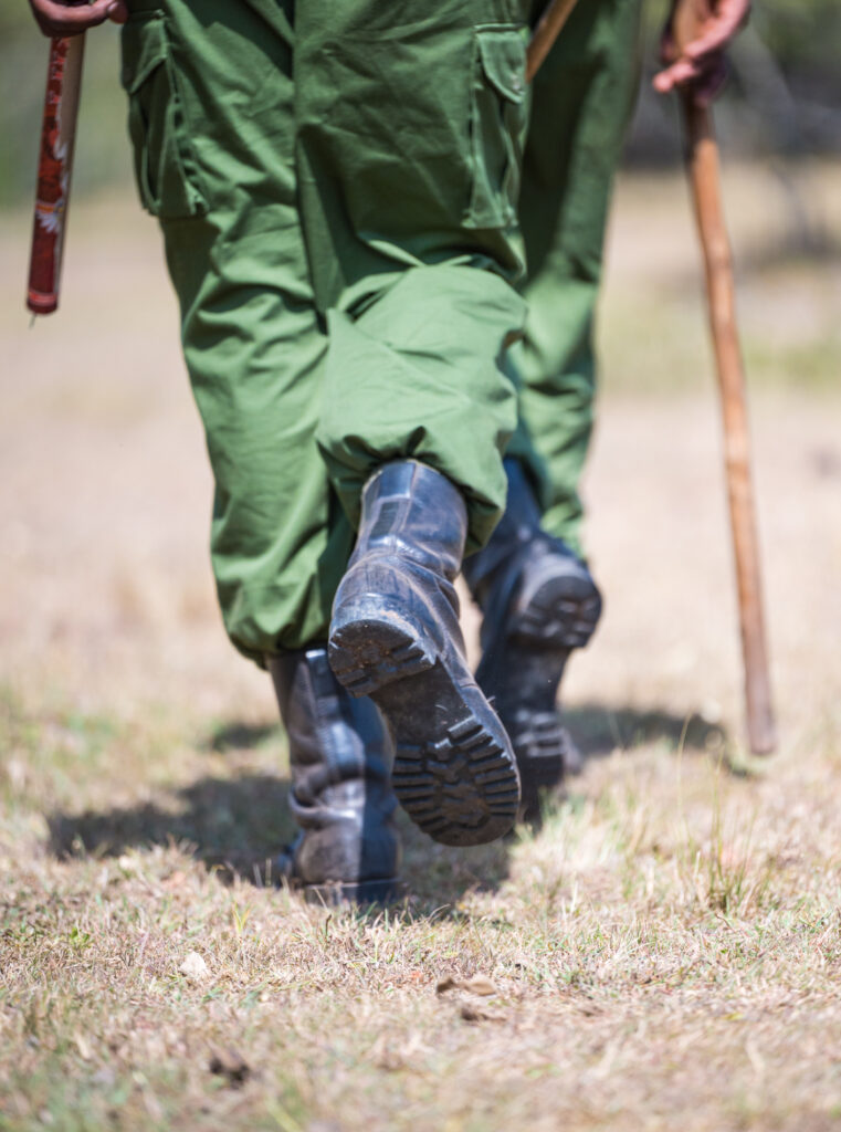 rangers with sticks on patrol 