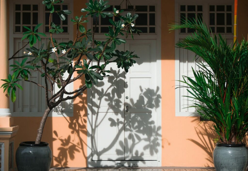 plants outside front door 