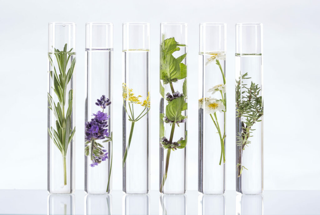 herbs in test tubes signifying natural skincare products 