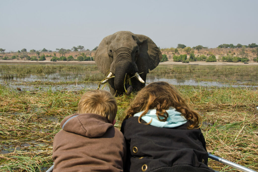 conscious travellers... kids looking out to elephant in the wild 