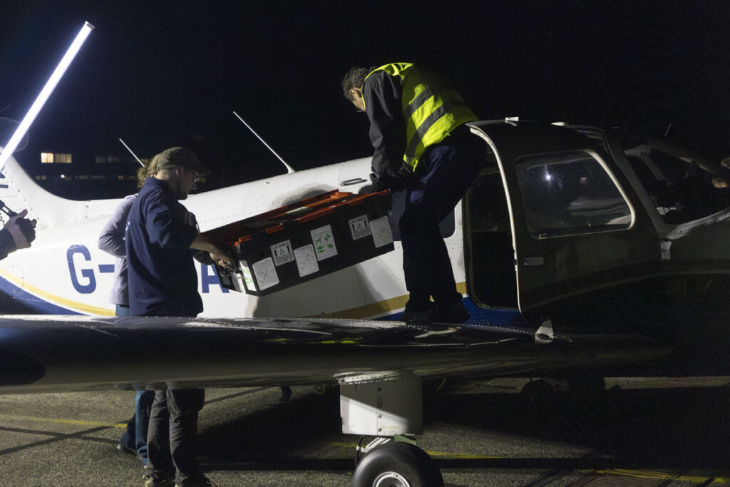 RAF load tally the turtle onto a small plane 