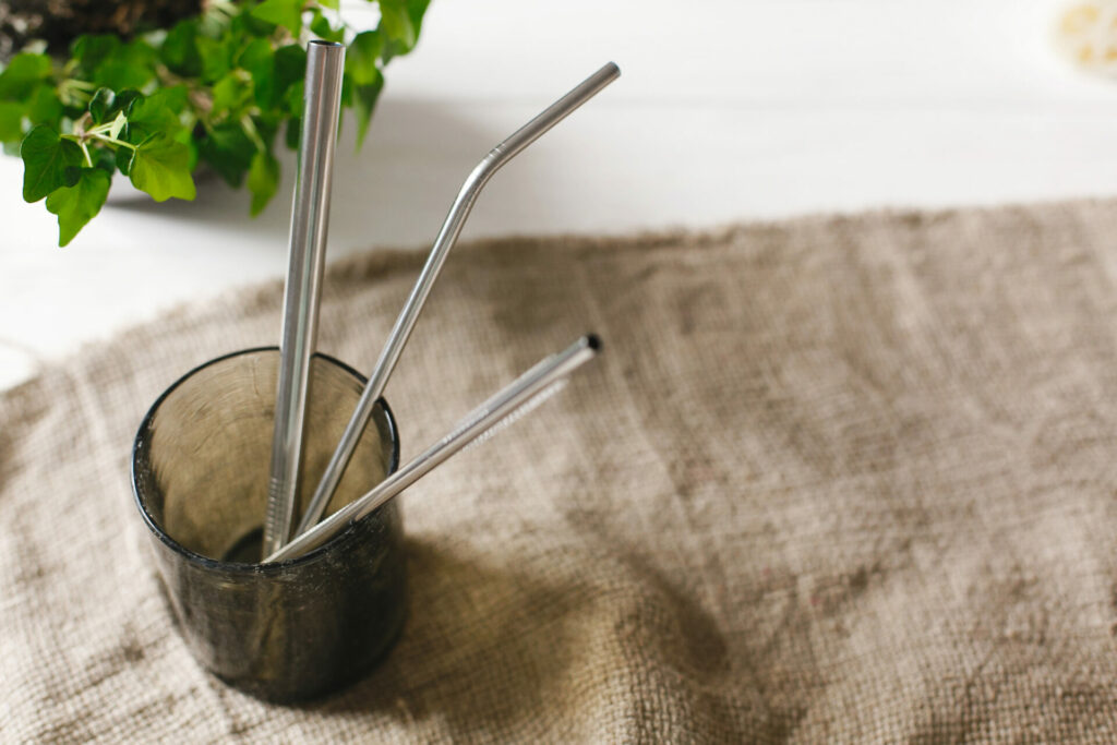 stainless steel straws 
