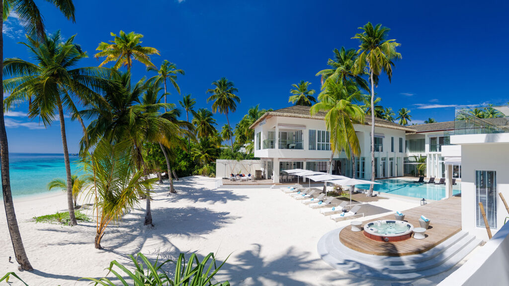 Palm Trees on white Beach