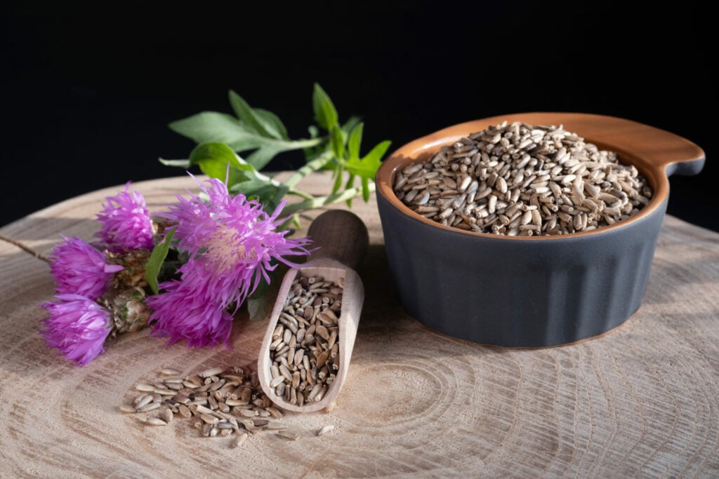 Milk thistle seeds in wooden spoon and ceramic bowl as menopause supplements