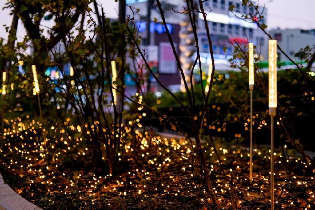 low-level light in garden to protect bugs