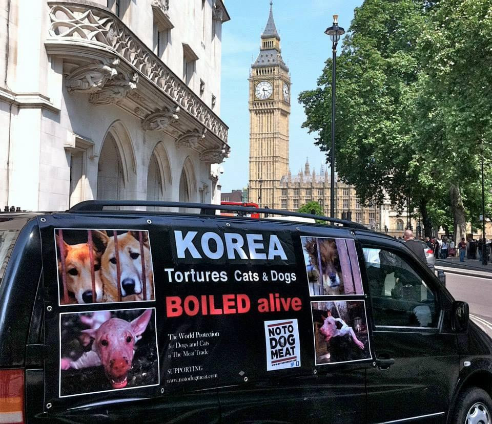 NoToDogMeat charity protesting against eatings dogs in Korea 