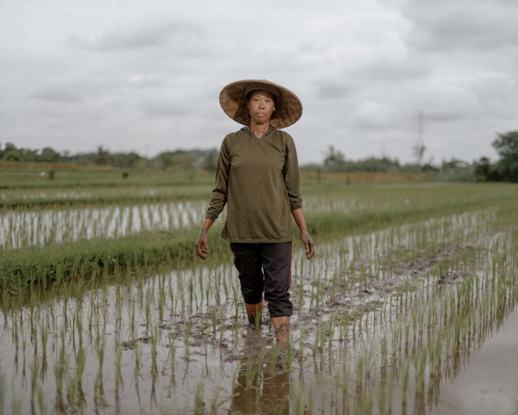 Food Planet Prize nominee stood in paddy field