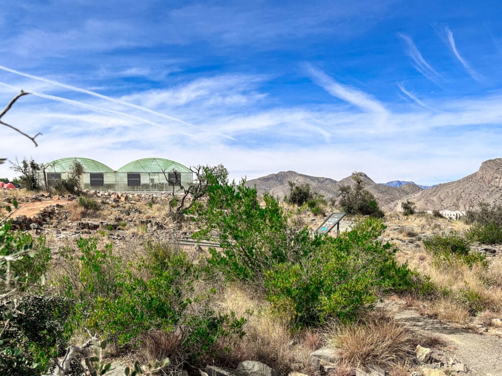 a landscape with plants and hydroponic farm at Alila Jabal Akhdar