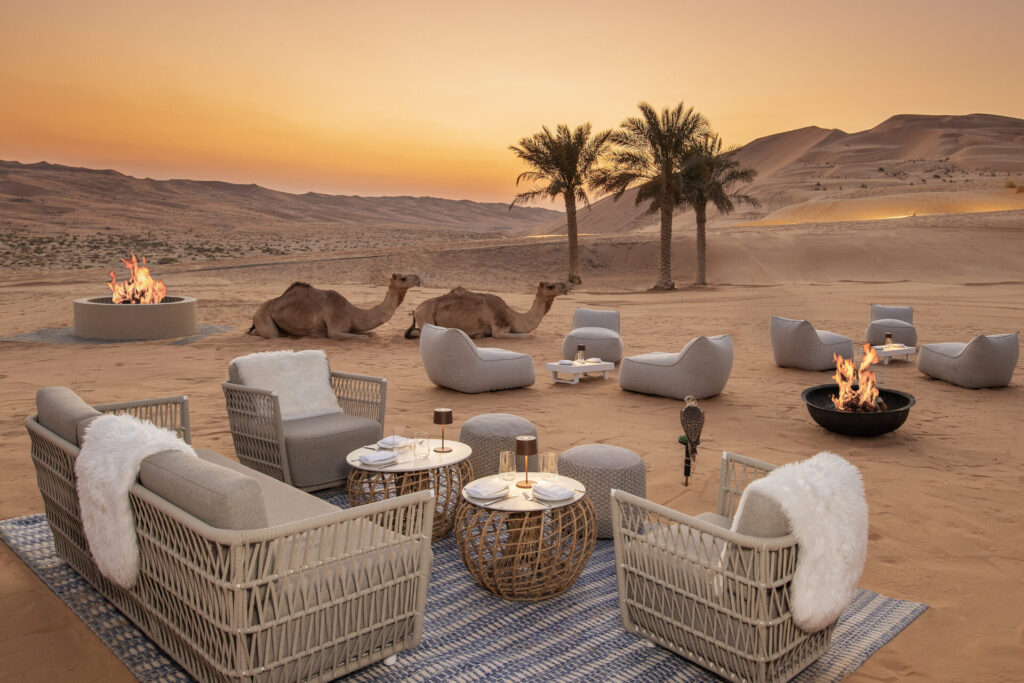 Camels sit at a picnic at sunset in the desert