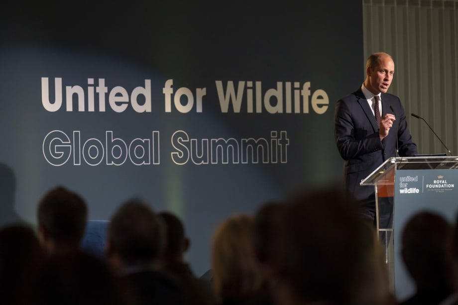 Prince William at summit talking
