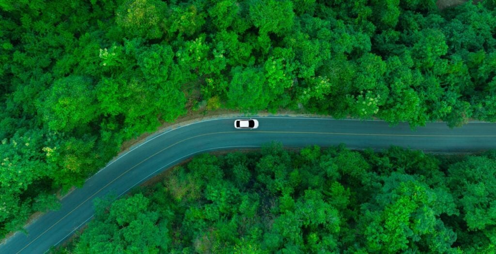 a car driving on a road surrounded by trees