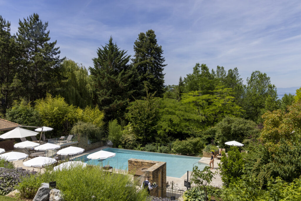 swimming pool surrounded by forest at Evian Resort