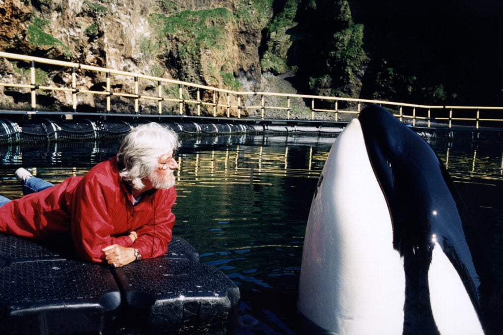 Jean-Michel Cousteau looking at a whale