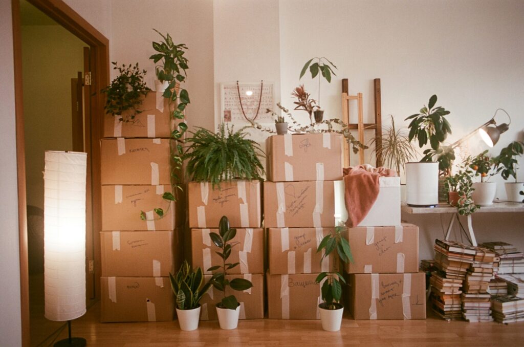 New home with boxes piled up and plants