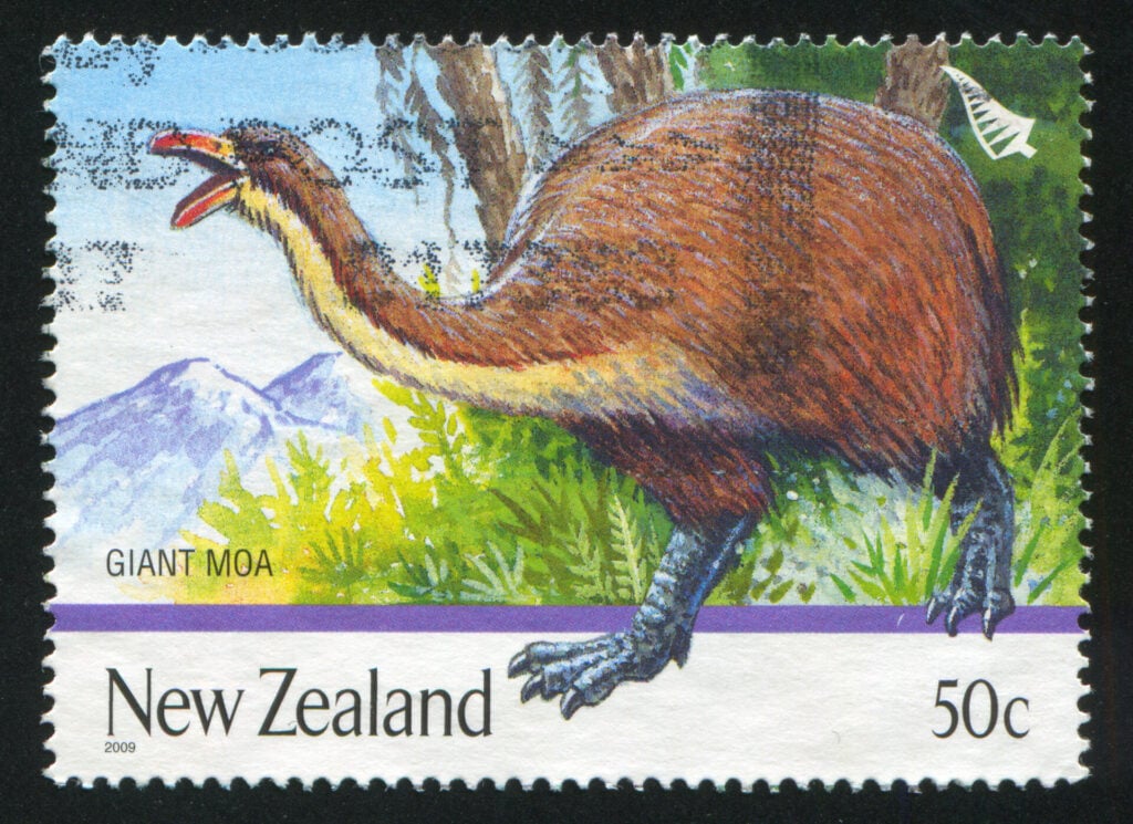 A new Zealand stamp with the Moa bird featured 