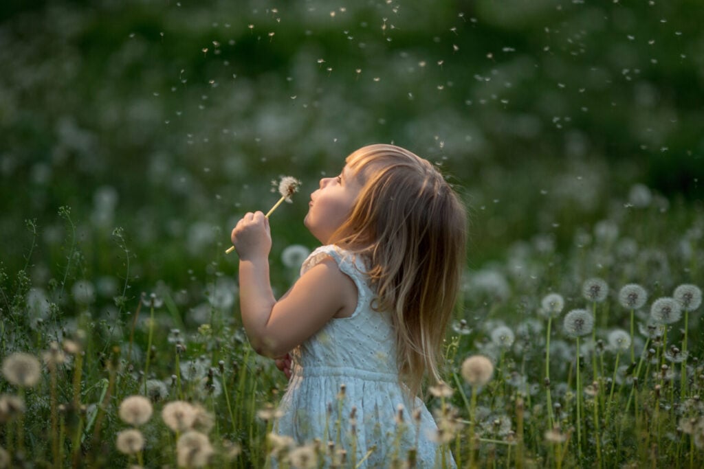 Little girl blowing dandelions 