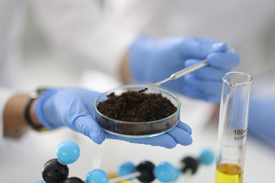 desert microbes in petri glass