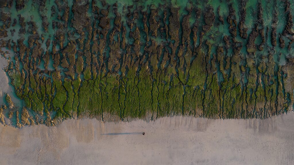 aerial view of a person walking on a beach in Salalah